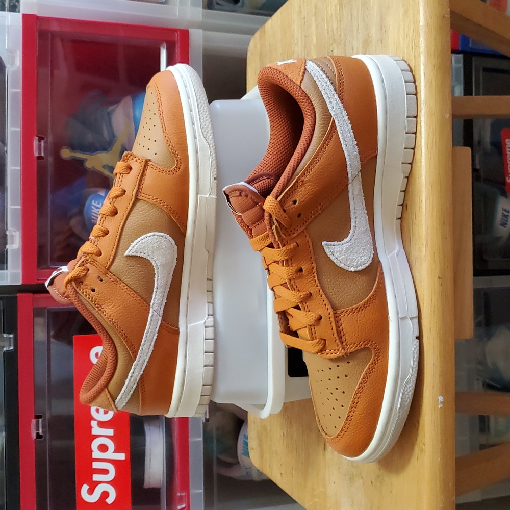 Nike Dunk Low Retro SE